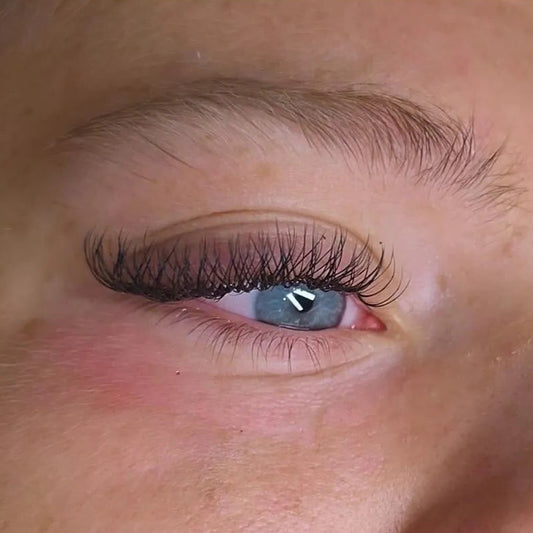 Beginners Classic/Hybrid Lash Course-SA Training Academy